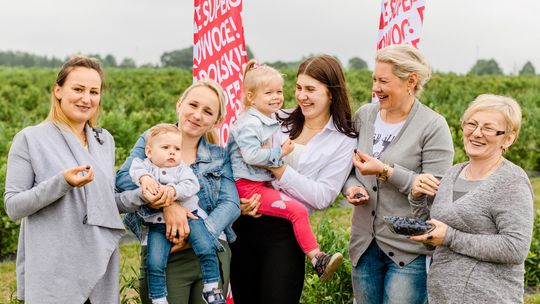 1 lipca – Dzień Polskiej Borówki