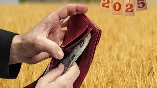 2025 rok będzie trudny dla rolników. Kredyty nie będą ich jedynym problemem. Idzie fala nowych wyzwań