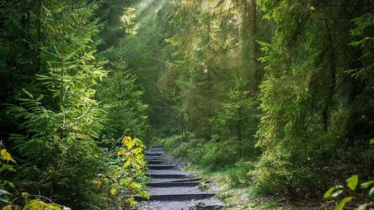 22 kwietnia obchodzimy Dzień Ziemi. Nawet niewielkie ekozmiany poprawiają stan naszego środowiska