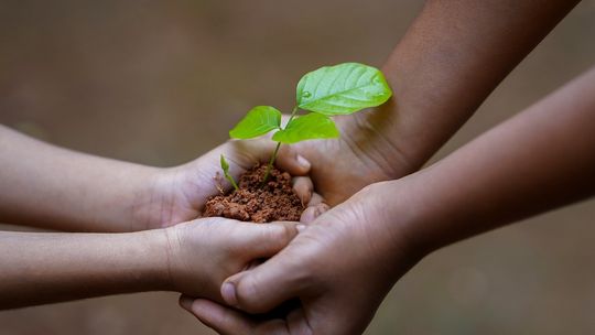 22 kwietnia obchodzimy Światowy Dzień Ziemi. Sprawdź, jak codziennie dbać o środowisko