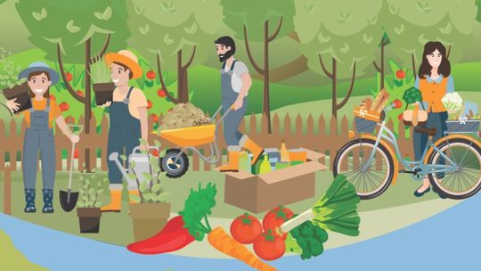 45% Polaków wyrzuca jedzenie – badania Banków Żywności