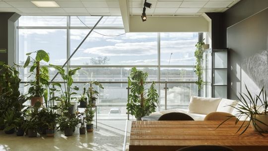 Naturalność we wnętrzu