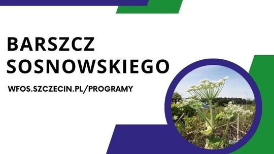6,5 mln zł na edukację ekologiczną, ochronę przyrody i usuwanie groźnej rośliny
