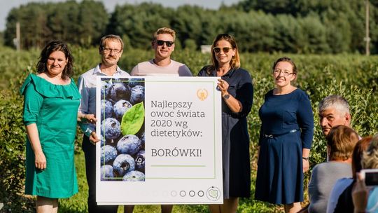 8 atutów polskiej borówki