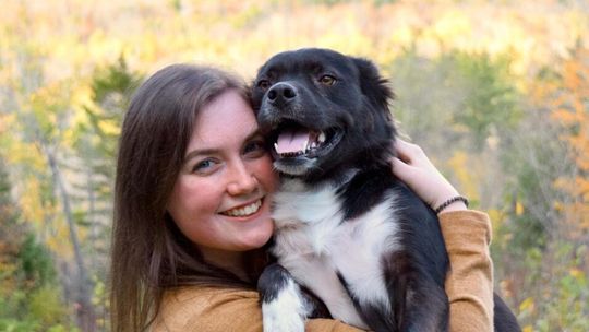 „Adoptuj z miłością” – wspólna akcja Maxi Zoo i schronisk trwa.