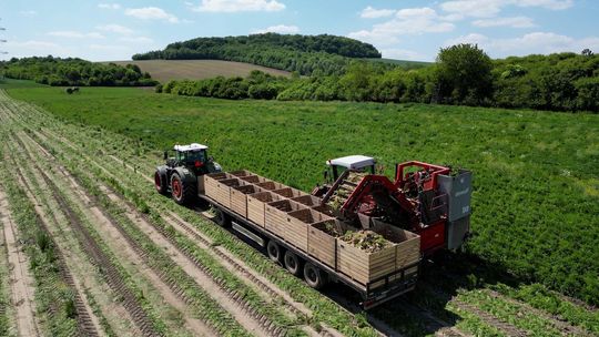 AI i biotechnologia dla rolnictwa. Konkurs dla start-upów pokazał kierunki rozwoju sektora agritech AI i biotechnologia dla rolnictwa. Konkurs dla start-upów pokazał kierunki rozwoju sektora agritech