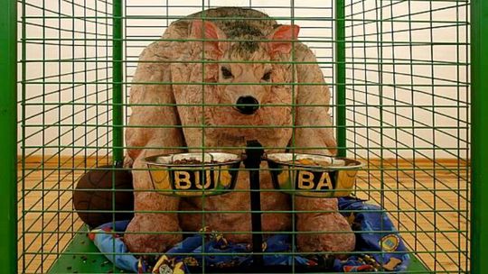 AKTUALNE WYSTAWY STAŁE I CZASOWE