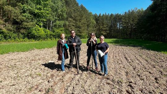 B&B HOTELS Polska kontynuuje działania na rzecz pszczół