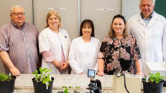 Badacze ZUT "szczepią" truskawki bakteriami, aby uodpornić je na suszę