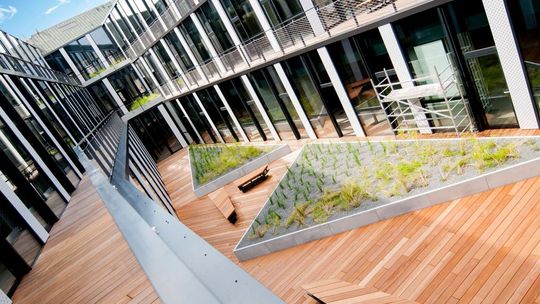 Bangkirai – idealne rozwiązanie na egzotyczny taras