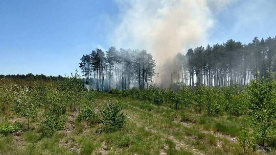  Bardzo duże zagrożenie pożarowe !!! 