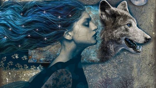 „Biegnąc z wilkami” – nowa wystawa w Zamku Książąt Pomorskich 