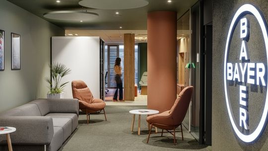 Biuro Bayer zainspirowane Oliwą spod kreski Design Anatomy