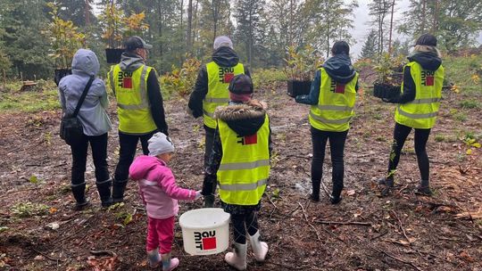 Blisko 3000 posadzonych drzew z okazji 30-lecia firmy Baumit
