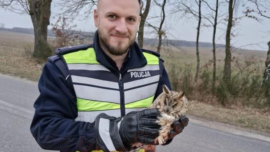 Błyskawiczna pomoc dla nielota – puchacz uratowany przez gryfickich policjantów