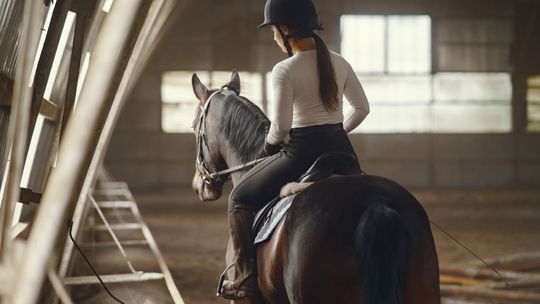 Bryczesy damskie – inwestycja w Twój komfort podczas jazdy