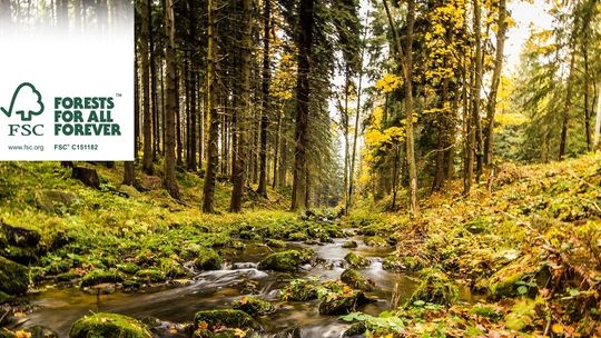 Certyfikat FSC – papier z recyklingu pozwoli ochronić lasy dla przyszłych pokoleń – opinie Etisoft