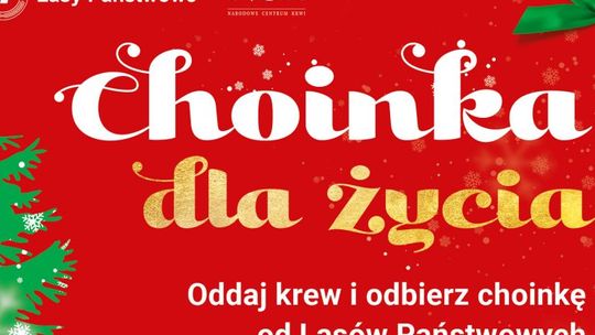 Choinki w podzięce dla krwiodawców