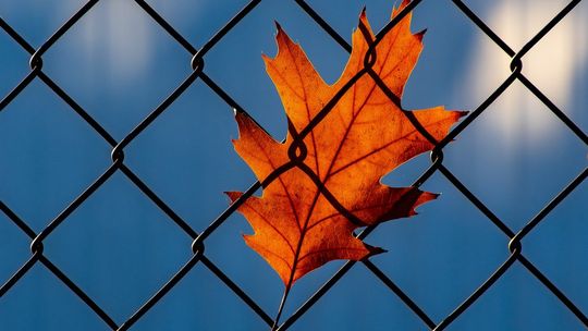 Czy nasze lęki są uzasadnione? Ekspert podpowiada, jak radzić sobie w świecie pełnym niepokojów