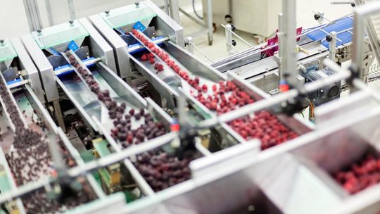 Czy w Polsce nadal opłaca się produkować? Koszty rosną, eksport bije rekordy, ale to marże stają się największym wyzwaniem