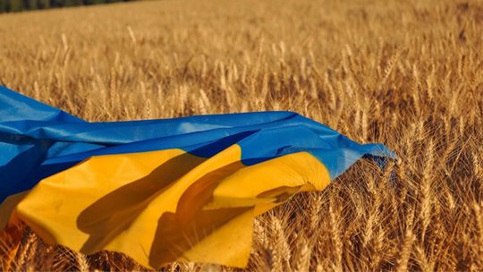 Czy Wspólna Polityka Rolna jest gotowa na Ukrainę? Najnowszy raport WEI i IER