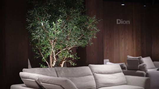 Czym jest biophilic design?