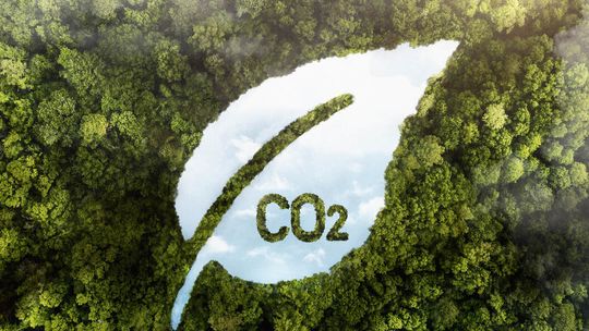 Dekarbonizacja i obniżanie śladu węglowego