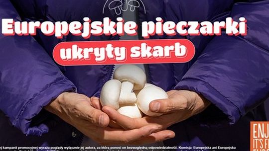 Dlaczego Polacy oszaleli na punkcie pieczarek? Zobacz, co możesz zyskać