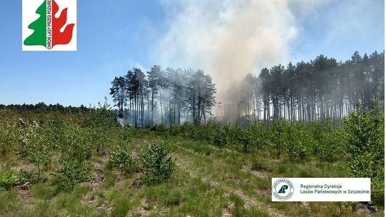 DŁUGI WEEKEND MAJOWY… BYŁ CZASEM WYTĘŻONEJ PRACY DLA LEŚNIKÓW I STRAŻAKÓW…