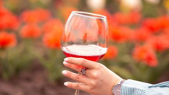 Dobre wino – jak je rozpoznać w trakcie zakupu? Podpowiadamy!