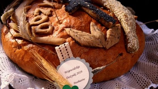 Dożynki Wojewódzkie 2019 w Trzebiatowie