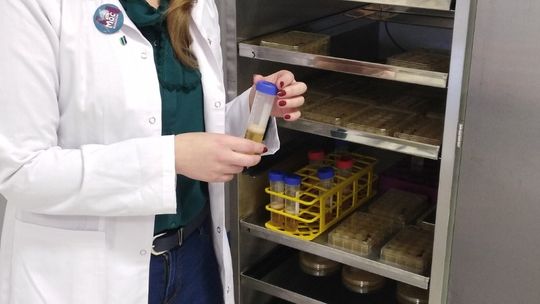 Dr inż. Anna Żywicka półfinalistką konkursu FameLab