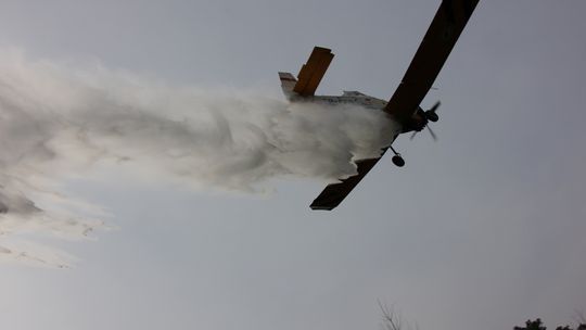 Duże zagrożenie pożarowe w lasach