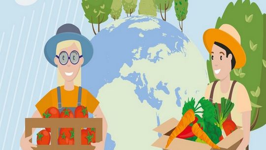 Dwóch na trzech Polaków przyznaje się do marnowania jedzenia - raport Banków Żywności