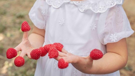 Dzieci lubią maliny, maliny lubią dzieci