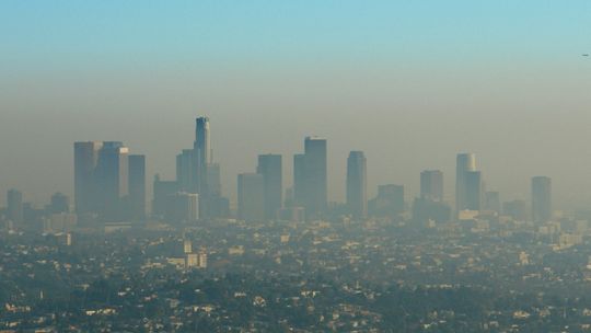 Dzień Czystego Powietrza. Czy wiesz, czym oddychasz?