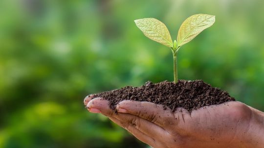Dzień Długu Ekologicznego. Od 1 sierpnia świat żyje „na kredyt”