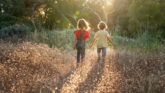 Dzień Długu Ekologicznego – od 24 lipca do końca roku świat żyje „na kredyt”