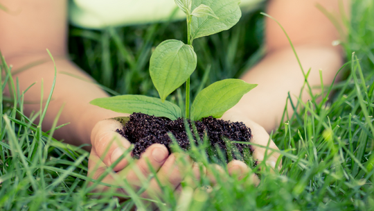 Dzień Długu Ekologicznego – Ziemia nie nadąża za naszym tempem. Sprawdź, co możesz zmienić