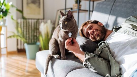 Dzień Kota: 5 faktów o kotach, które mogą cię zaskoczyć