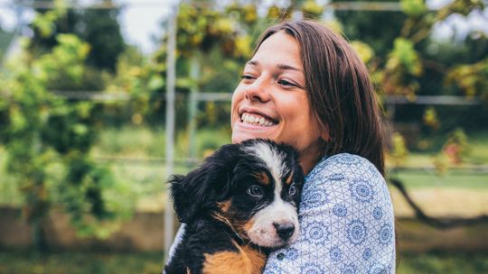 Dzień Kundelka – podaruj dom, zyskaj miłość