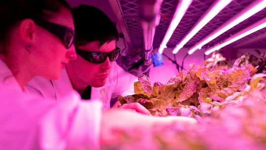 Efektywny transfer technologii, czyli jak stworzyć innowacyjny produkt?