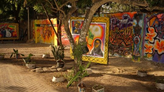 Ekologia społeczna - zaproszenie na wystawę