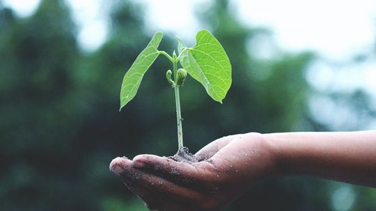 ESG – nowa moda czy element racjonalności biznesowej?