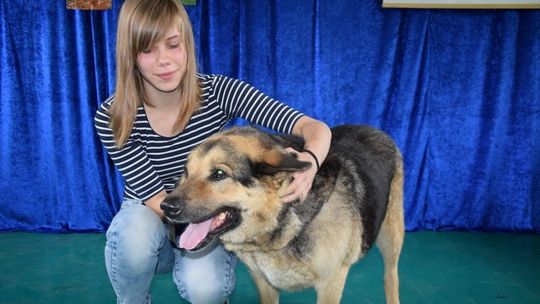 Finał projektu edukacyjnego klasy II gimnazjum Młodzieżowego Ośrodka Socjoterapii: "Ratując jednego psa, nie zmienimy świata... ale świat zmieni się dla tego jednego psa"