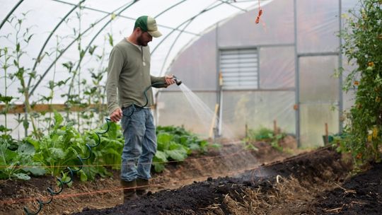 Fotowoltaika dla rolnika – oszczędność, wydajność i niezależność