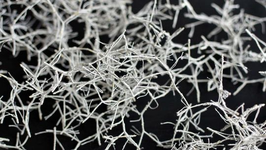 Galeria Architektów Forma zaprasza na wyjątkową wystawę