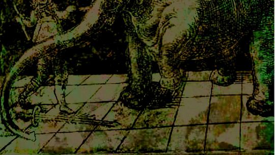 Galeria Feininger, Trzebiatowski Ośrodek Kultury, Galeria Feininger, Trzebiatowski Ośrodek Kultury, 