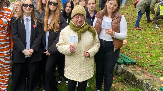 Gryfickie błonia zakwitły krokusami