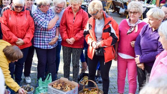 Grzybobranie Seniorów 2022